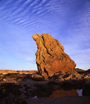 One of the Three Kings near Cullen