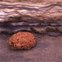 Textured stone against rocky wall