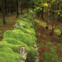 Fuji Velvia green wall near lake Buttermere