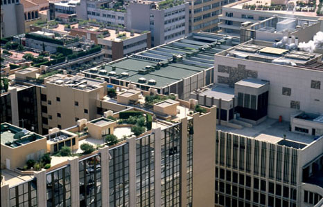 Rooftops in Monaco