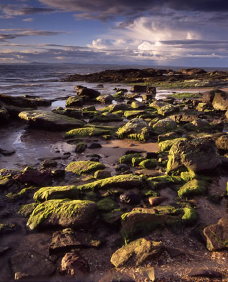 Gullane mossy rocks