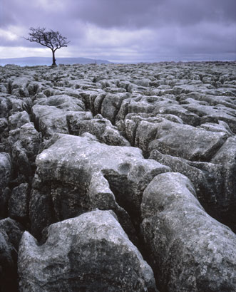Limestone Pavement near Conistone, North Yorkshire